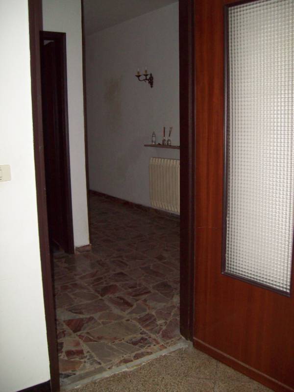  - foto 11