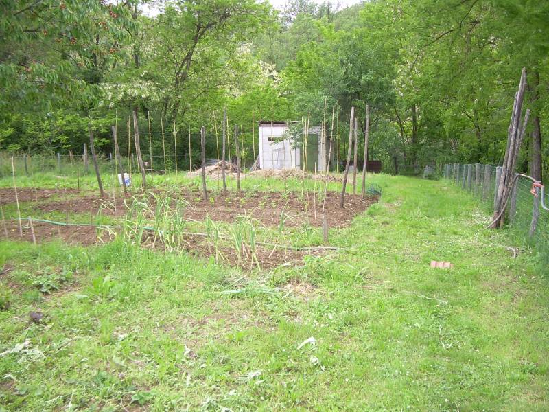  - foto 15