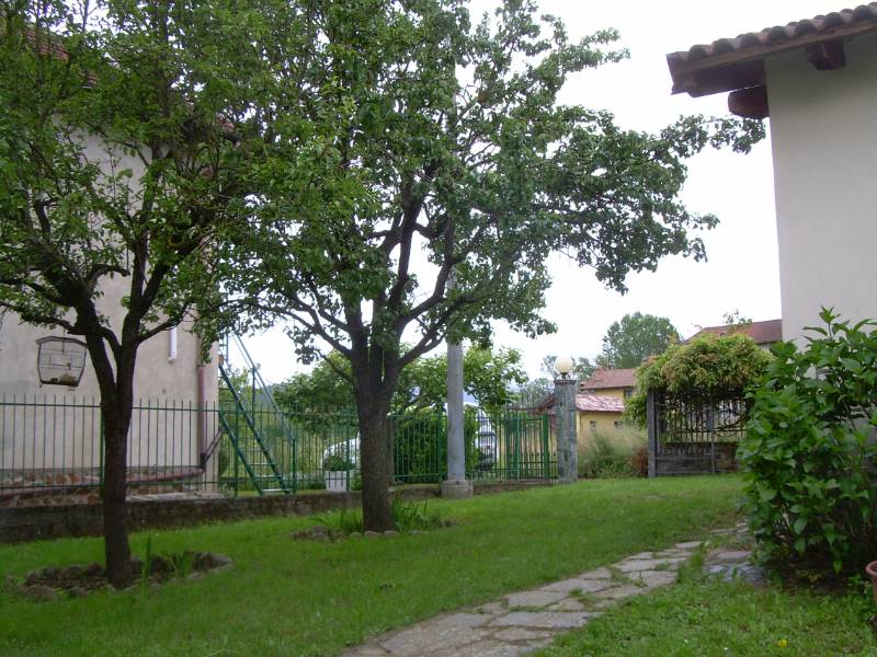  - foto 3