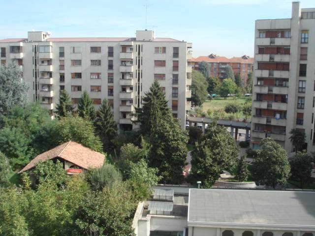  - foto 12