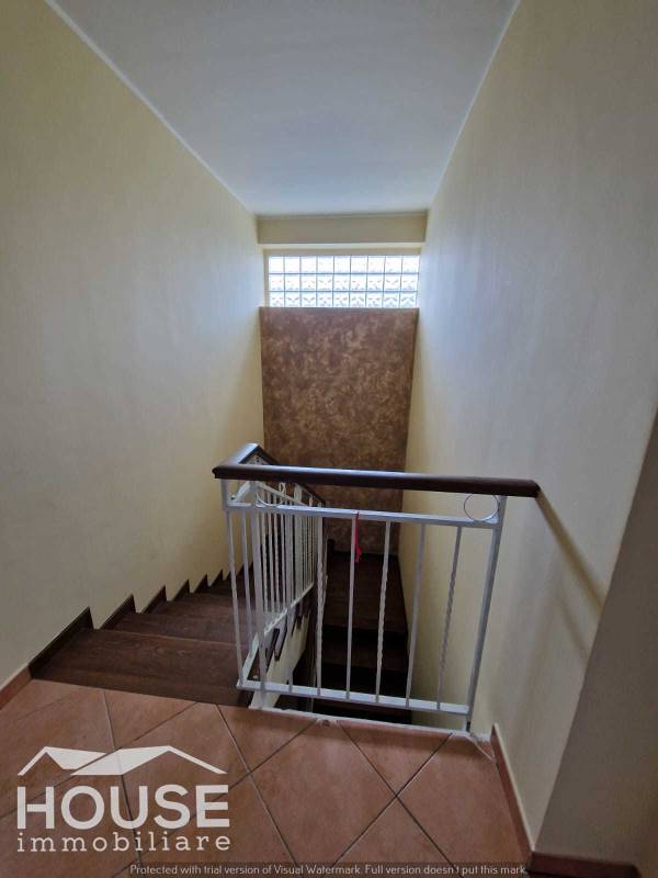  - foto 11