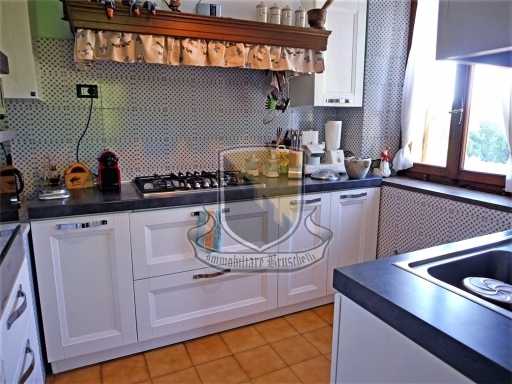  - foto 17