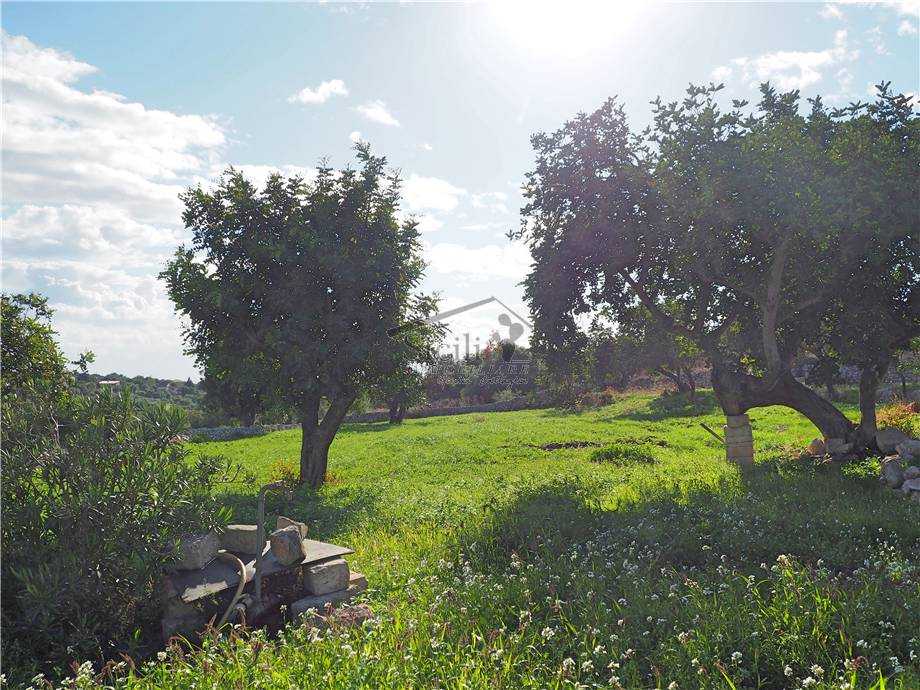  - foto 16