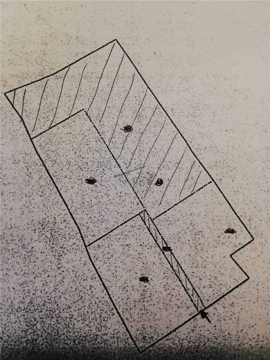  - foto 7