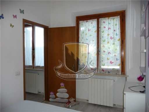  - foto 13
