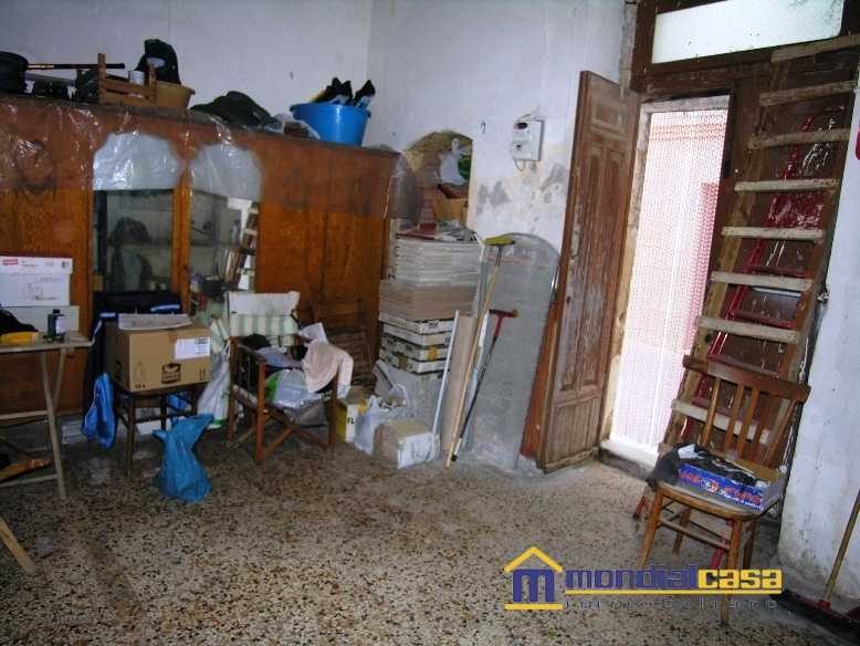  - foto 2