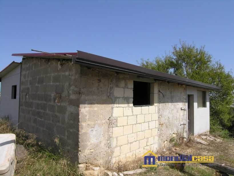  - foto 3