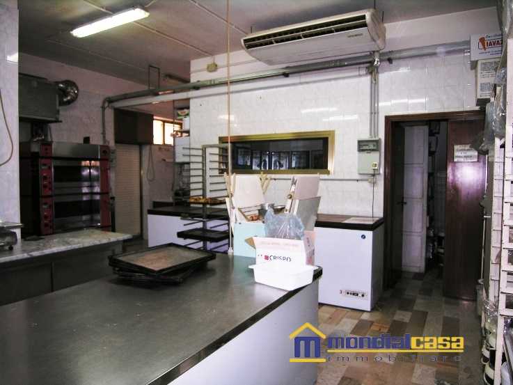  - foto 5