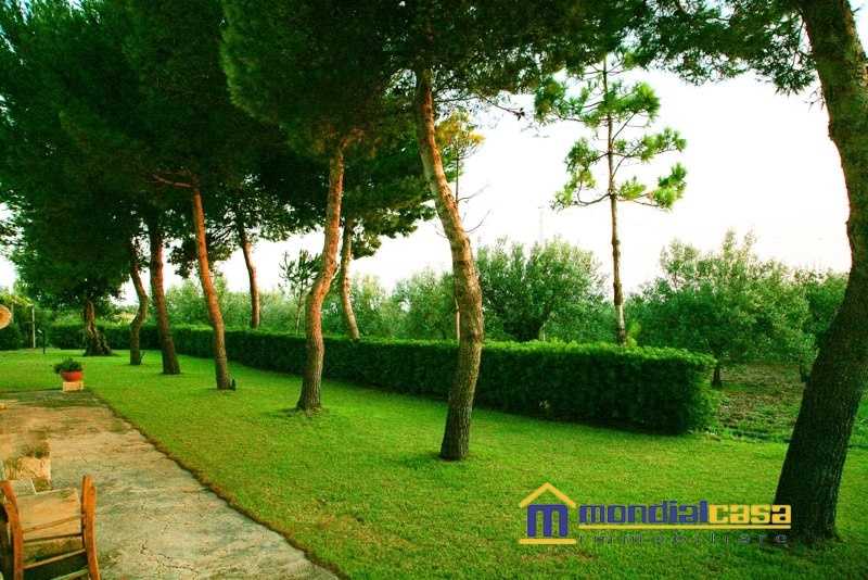  - foto 4