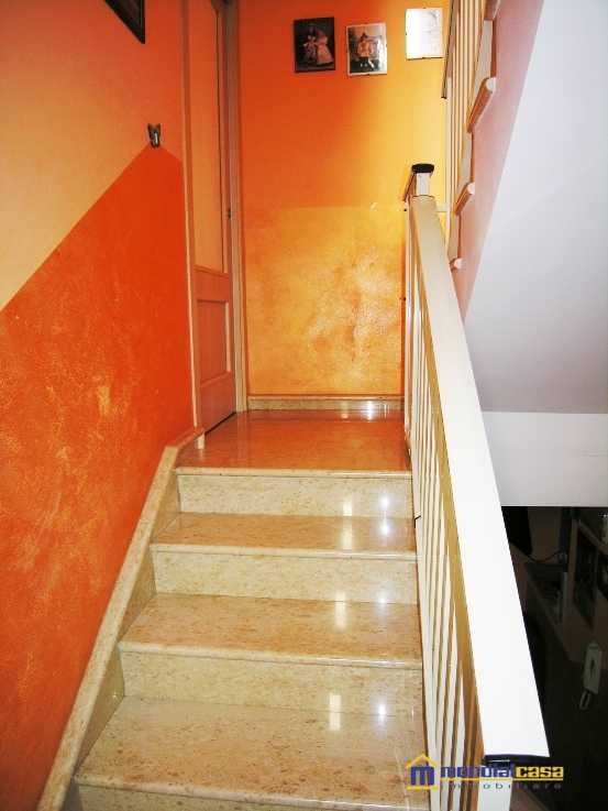  - foto 9