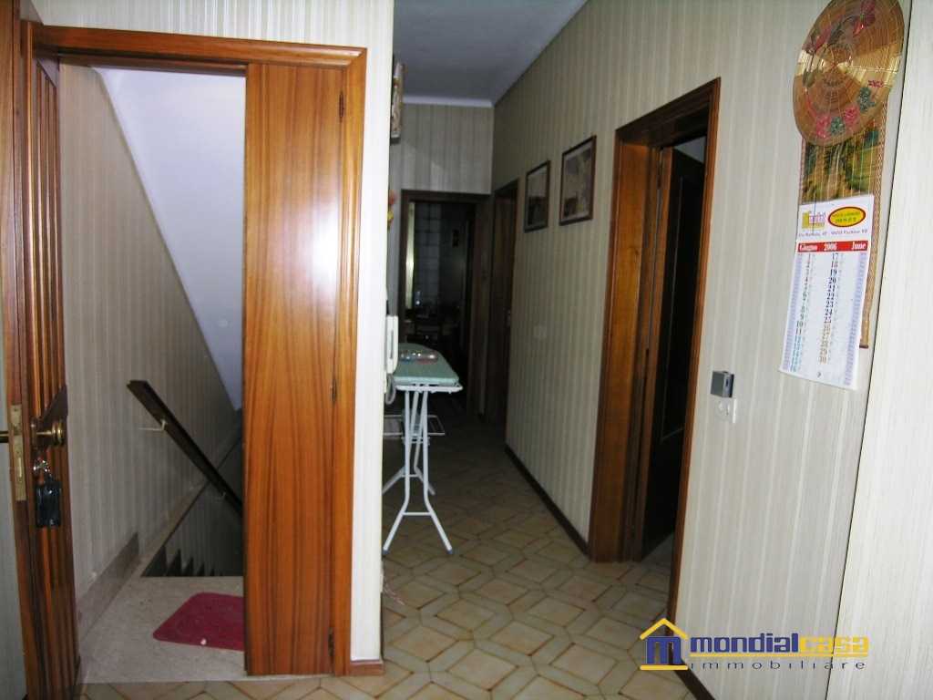  - foto 7