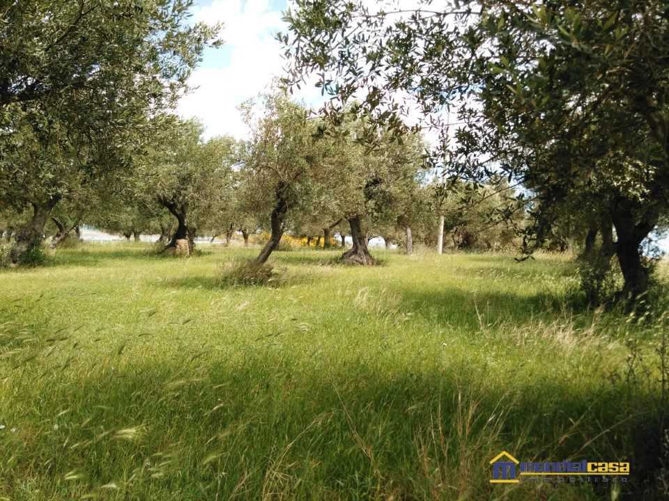  - foto 3