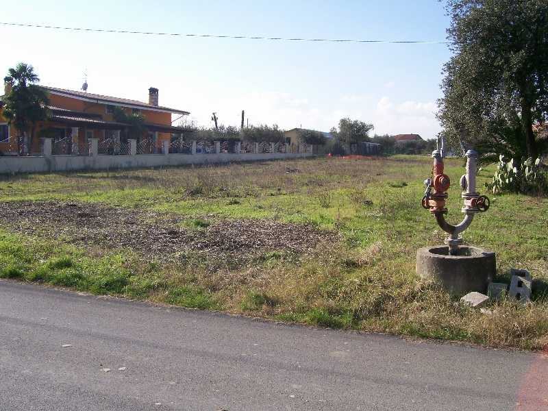  - foto 3