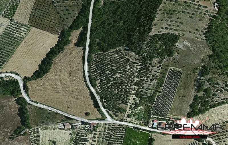immagine annuncio 3 di 4