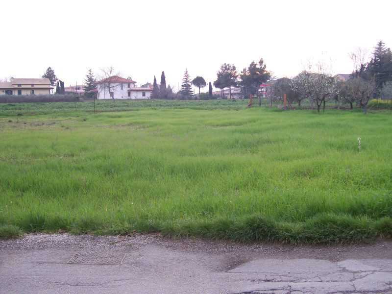  - foto 4