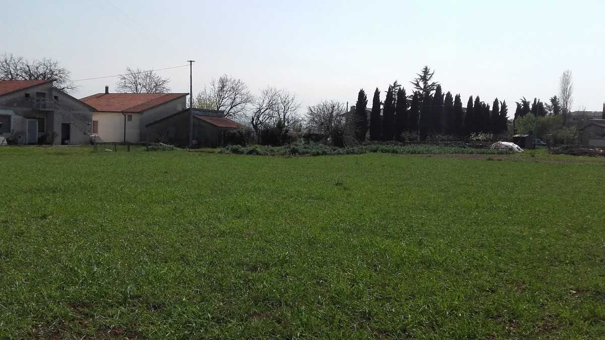 immagine annuncio 6 di 9