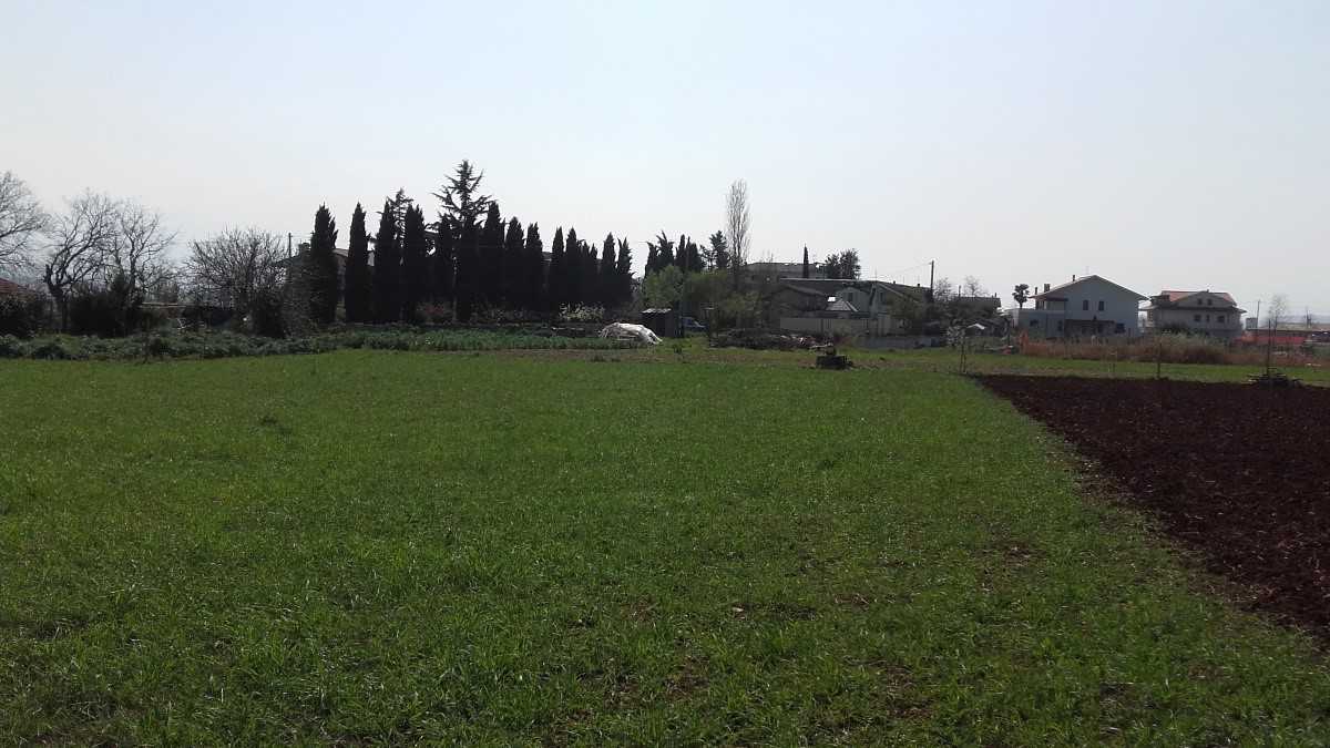 immagine annuncio 7 di 9