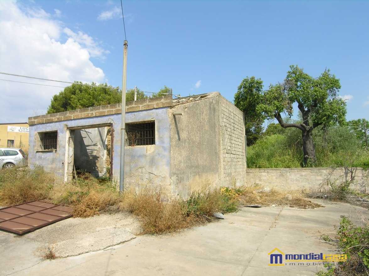  - foto 5