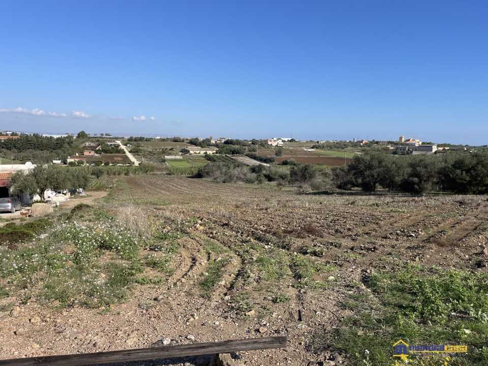  - foto 5