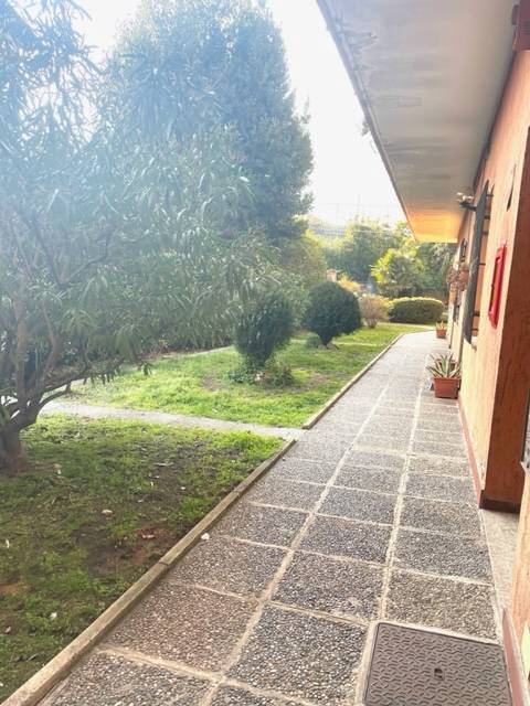  - foto 13
