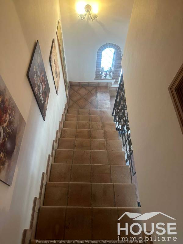  - foto 19