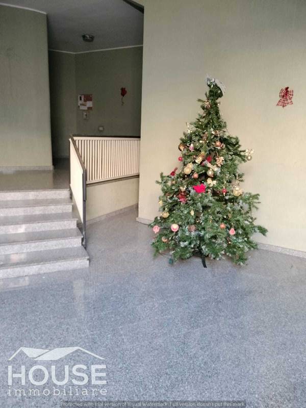  - foto 19