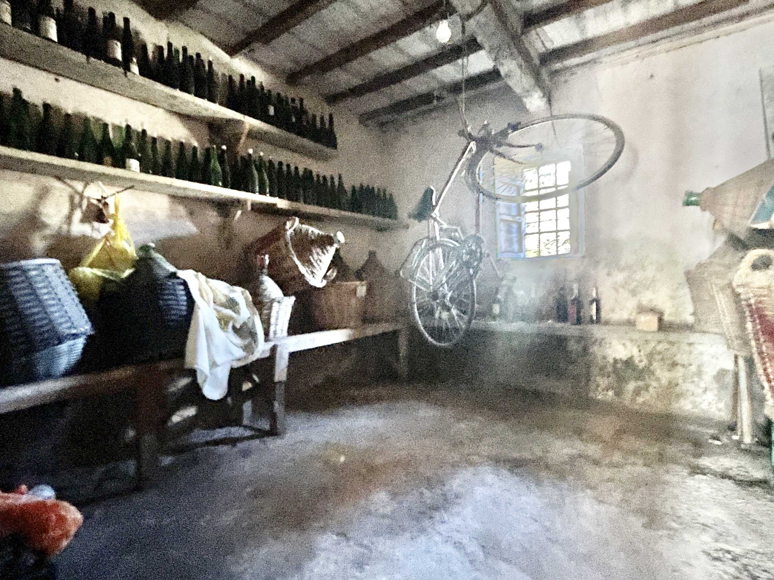immagine annuncio 7 di 13