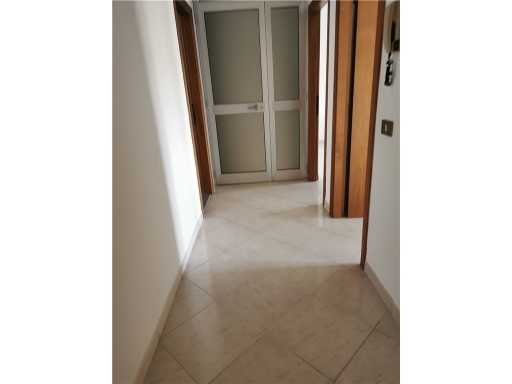  - foto 31
