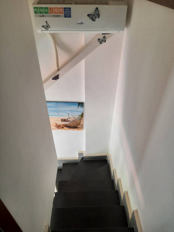  - foto 13