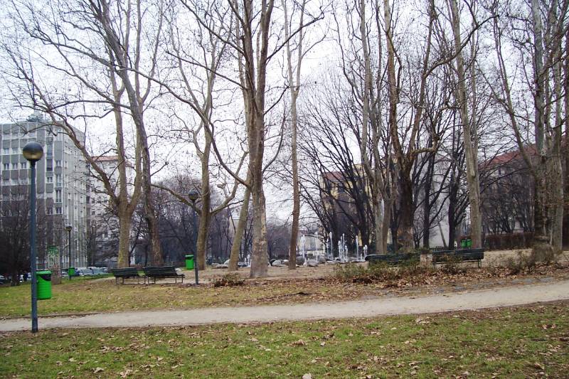  - foto 7