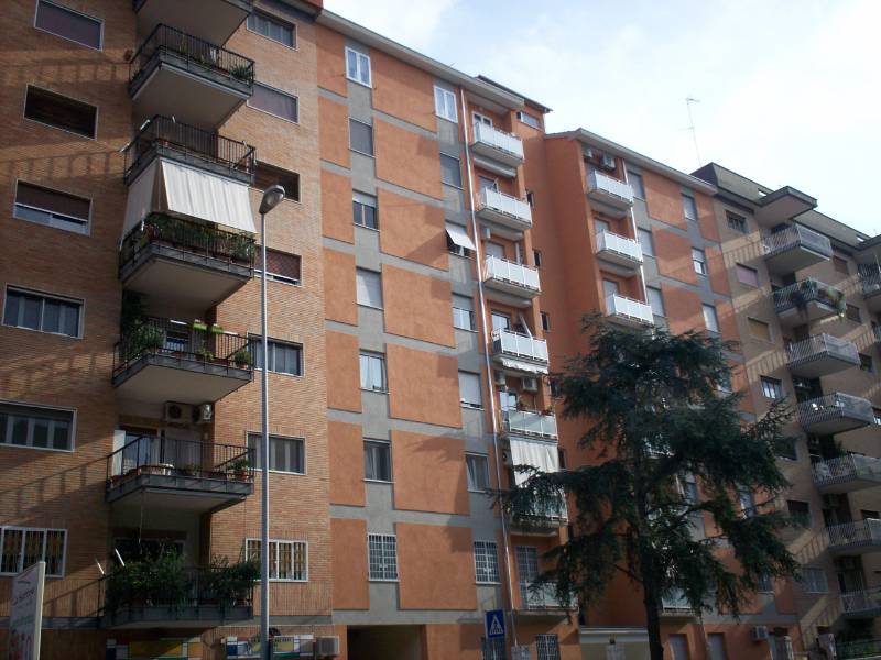  - foto 11