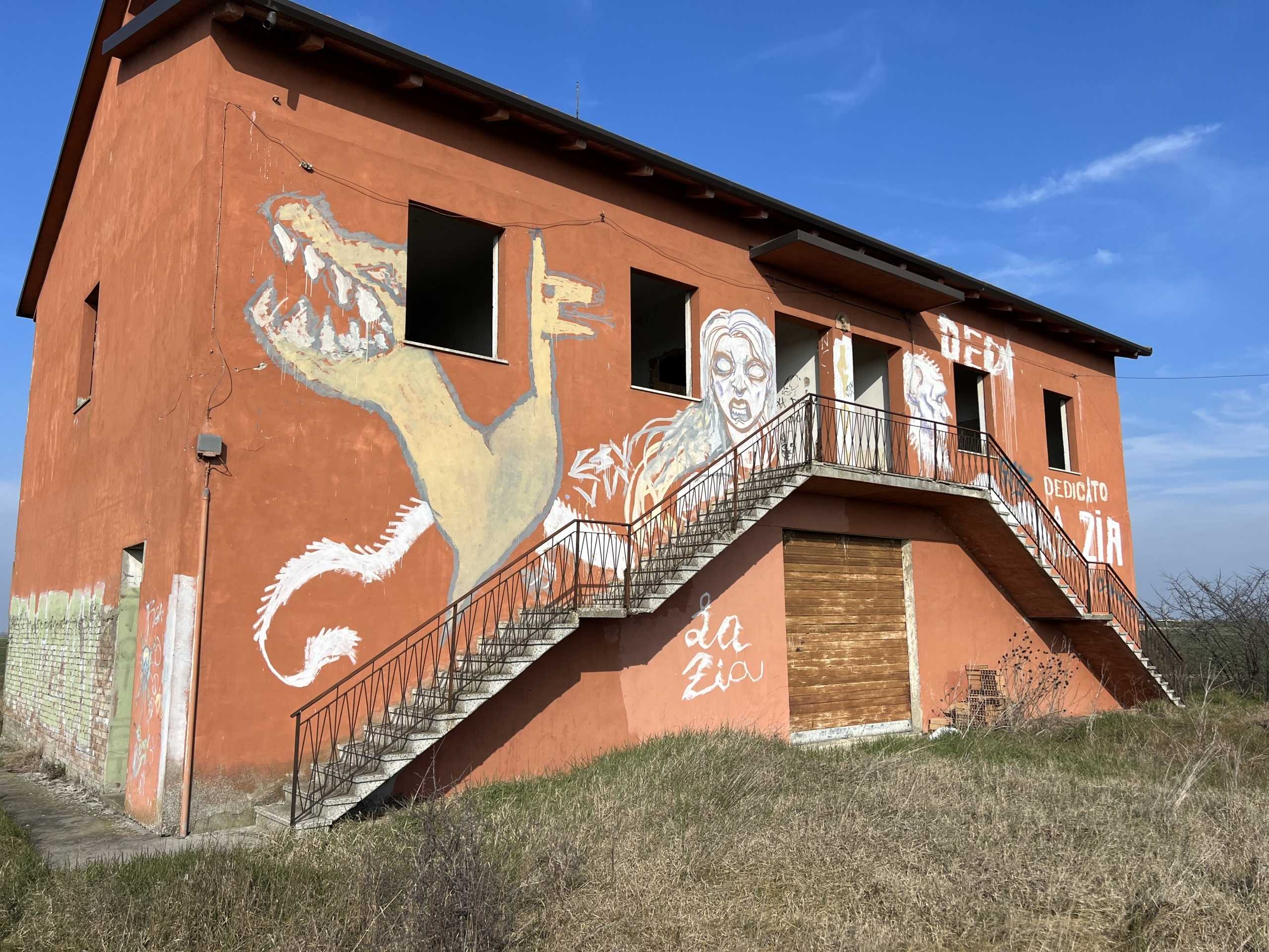 immagine annuncio 11 di 15
