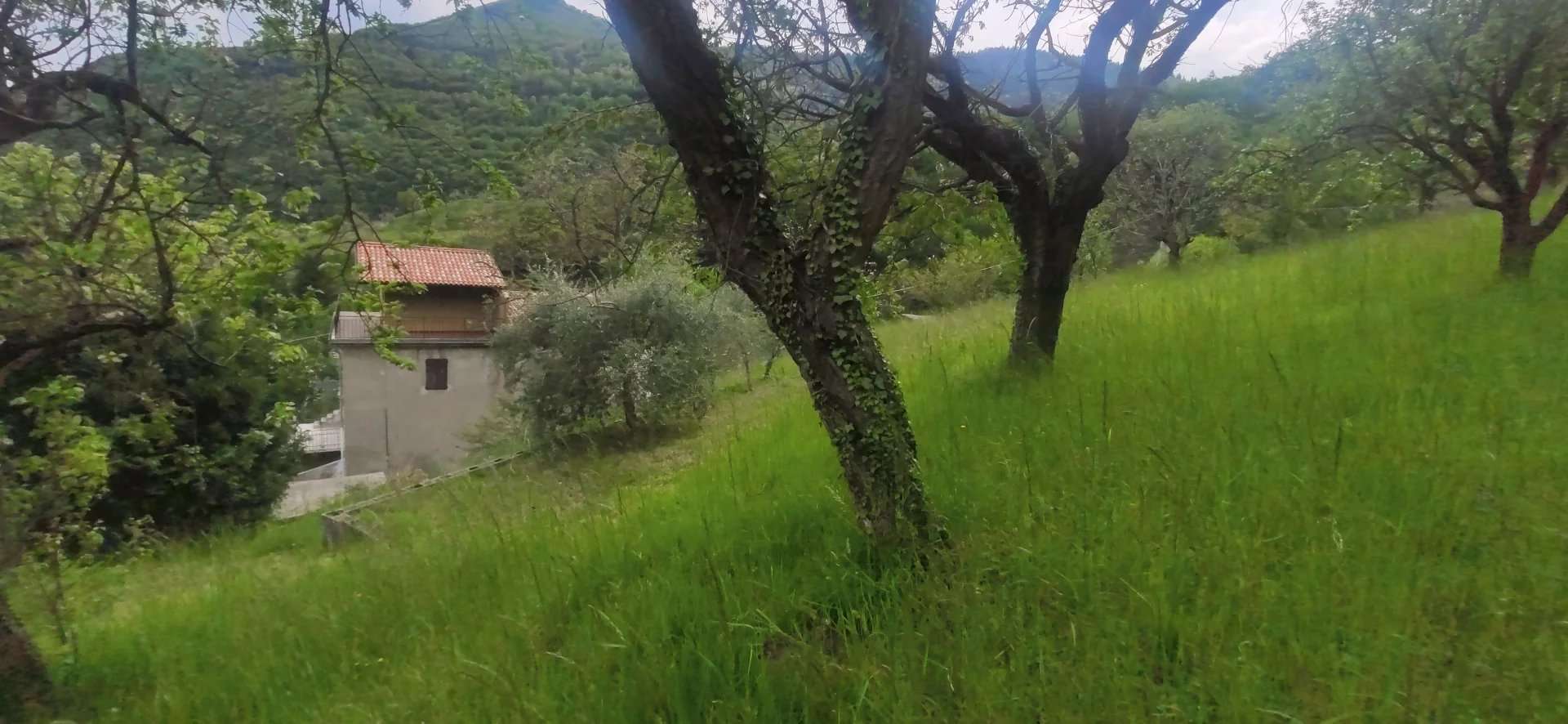 immagine annuncio 8 di 15