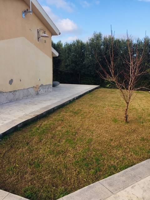  - foto 3