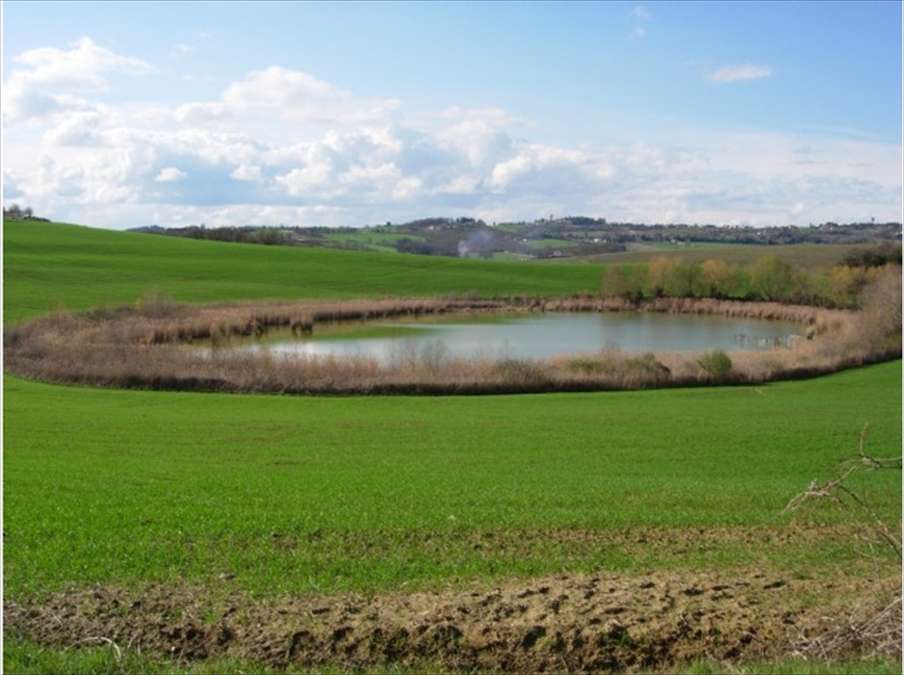  - foto 2