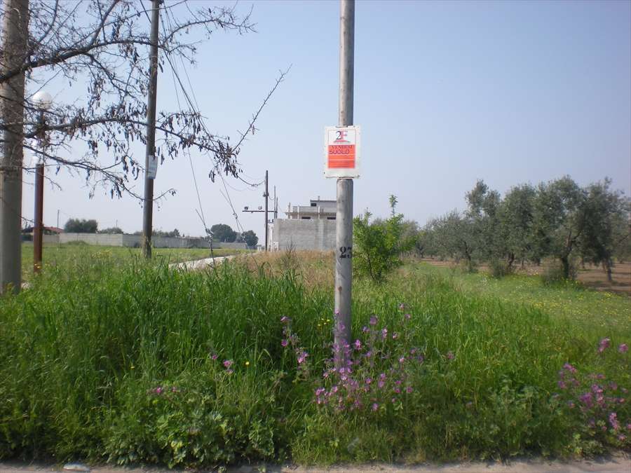  - foto 2