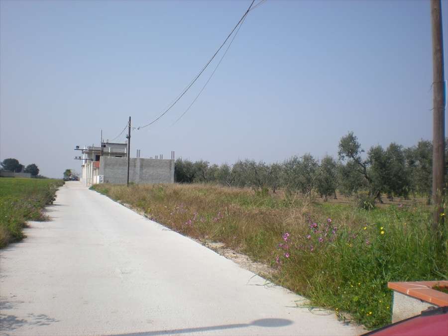  - foto 4