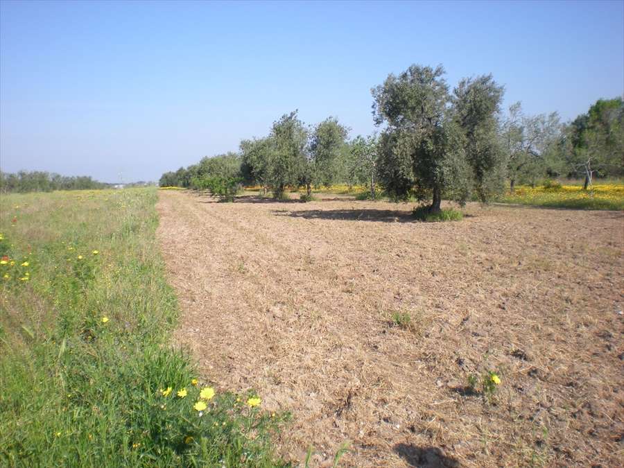  - foto 2