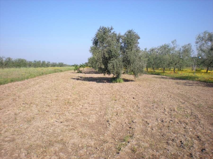 - foto 3