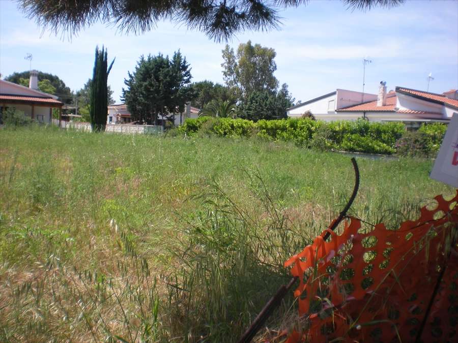  - foto 3