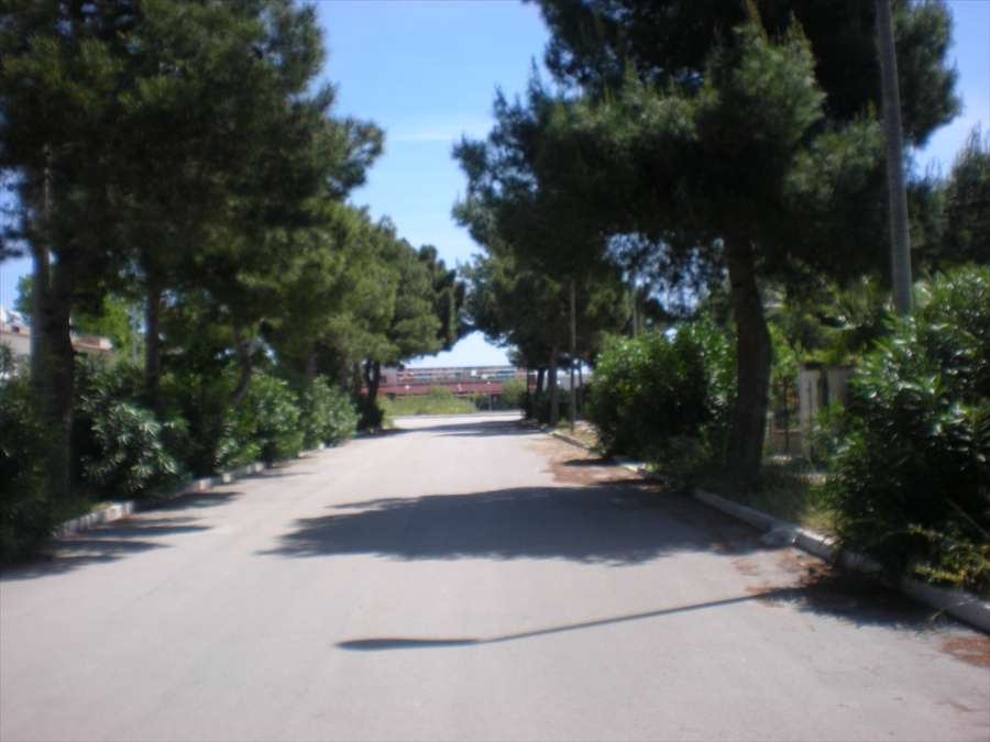  - foto 5