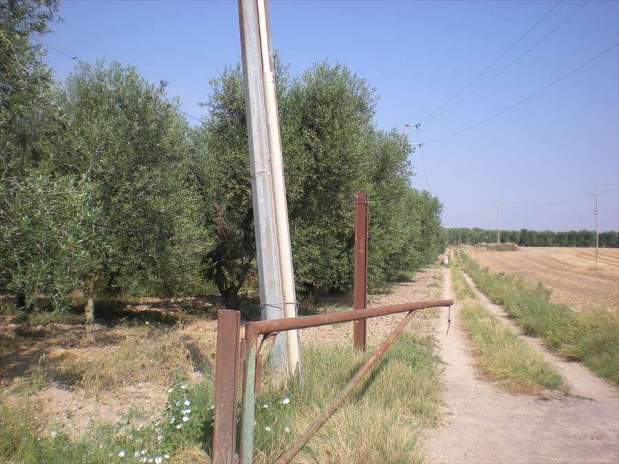  - foto 2