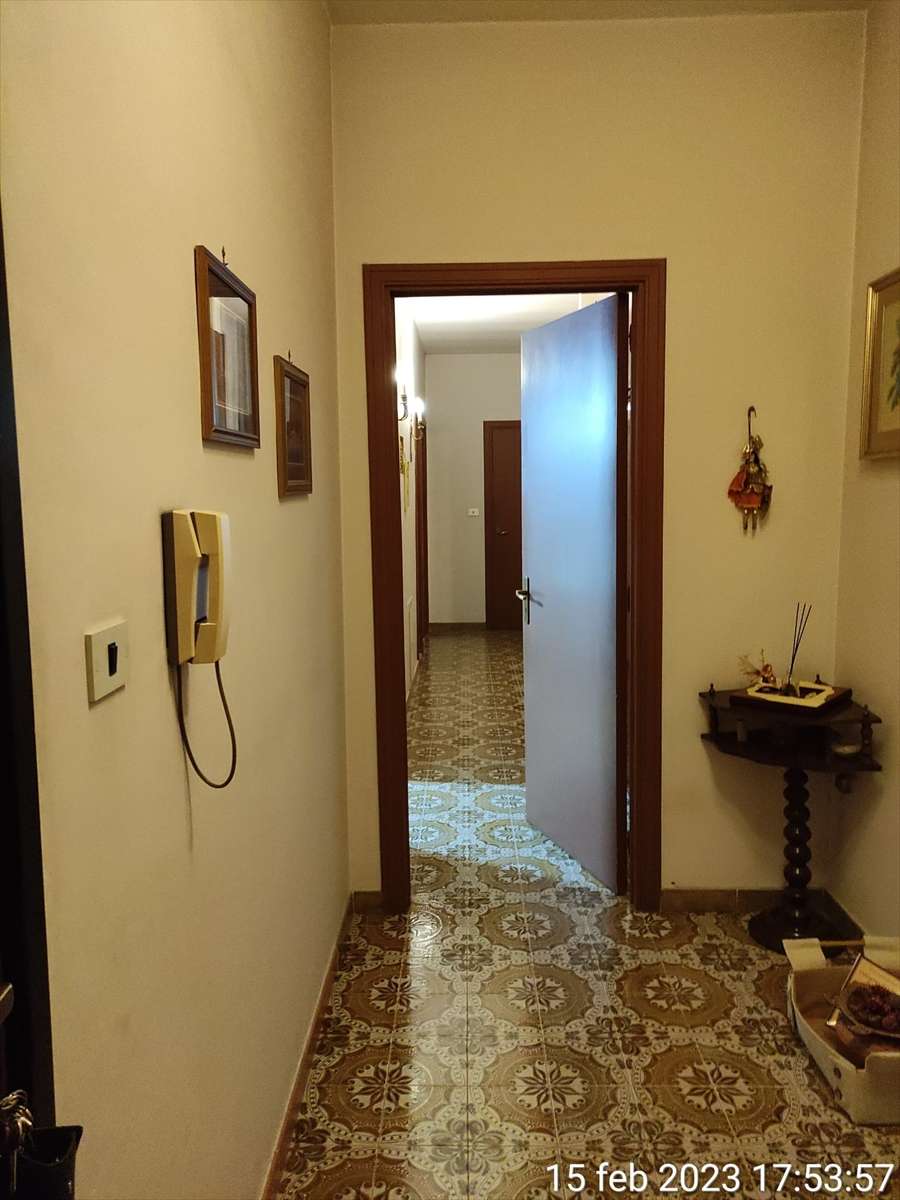 immagine annuncio 9 di 14