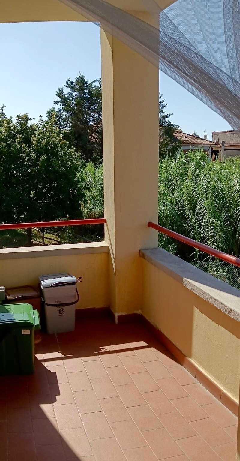 immagine annuncio 11 di 14