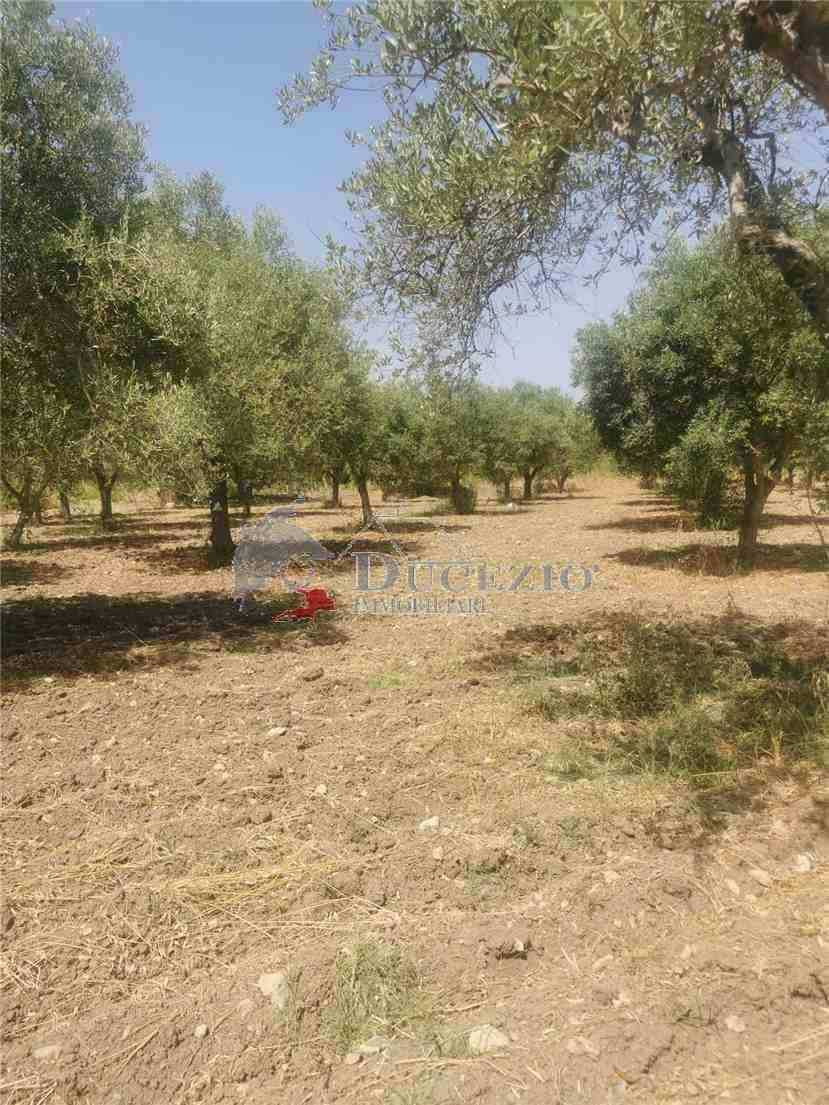  - foto 13