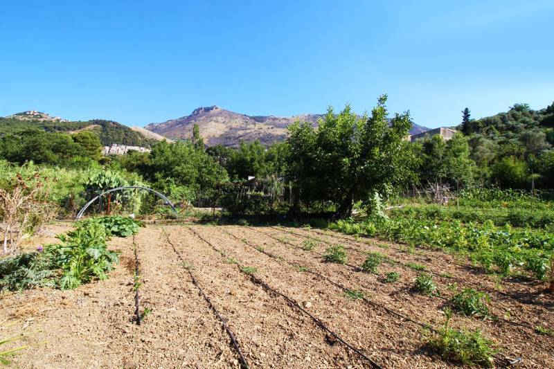 Terreno agricolo in Vendita a Palermo contrada giarromesi