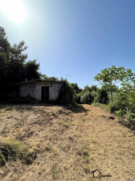  - foto 2