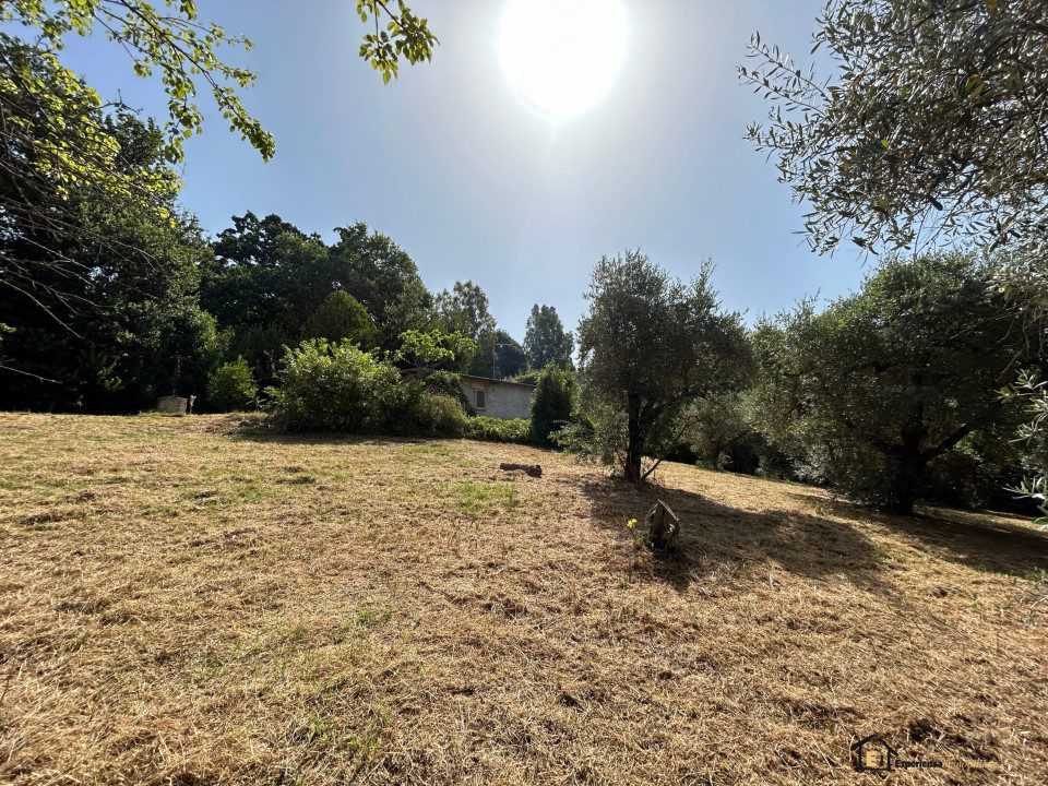  - foto 4