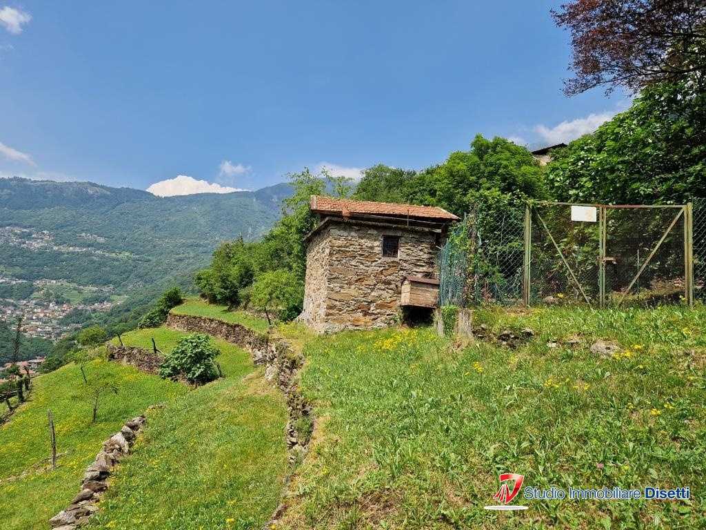 immagine annuncio 1 di 8