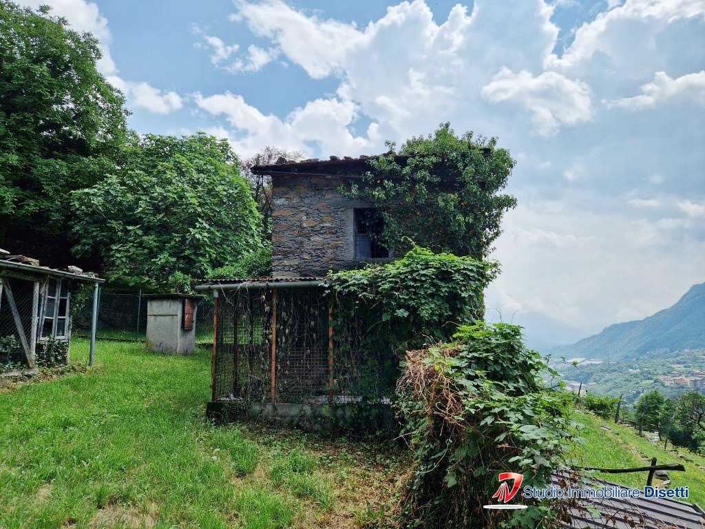 immagine annuncio 3 di 8